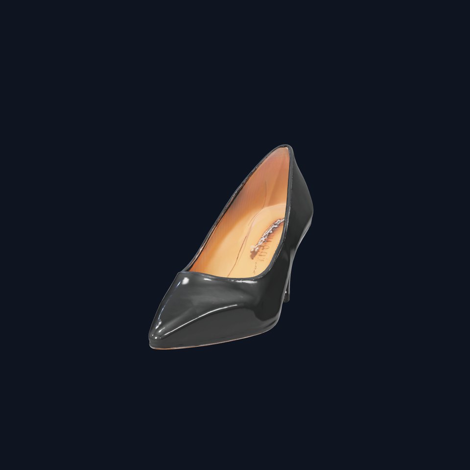 Elegant Black High Heel Shoe Model Pack