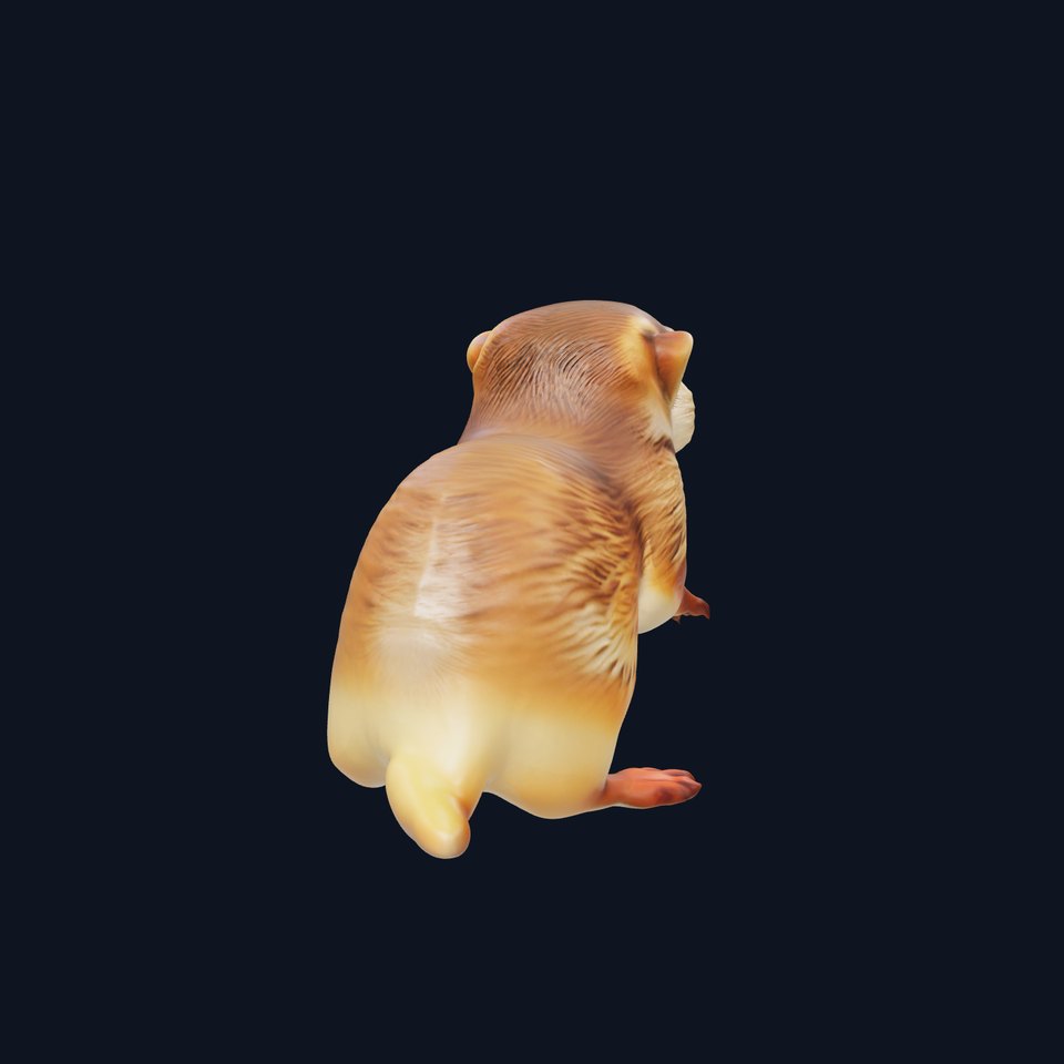 Furry Meerkat Model Pack with Detailed Textures