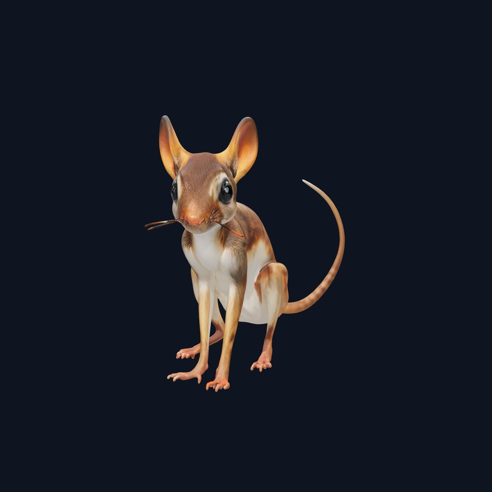 Realistic Jerboa Model Pack with Detailed Textures