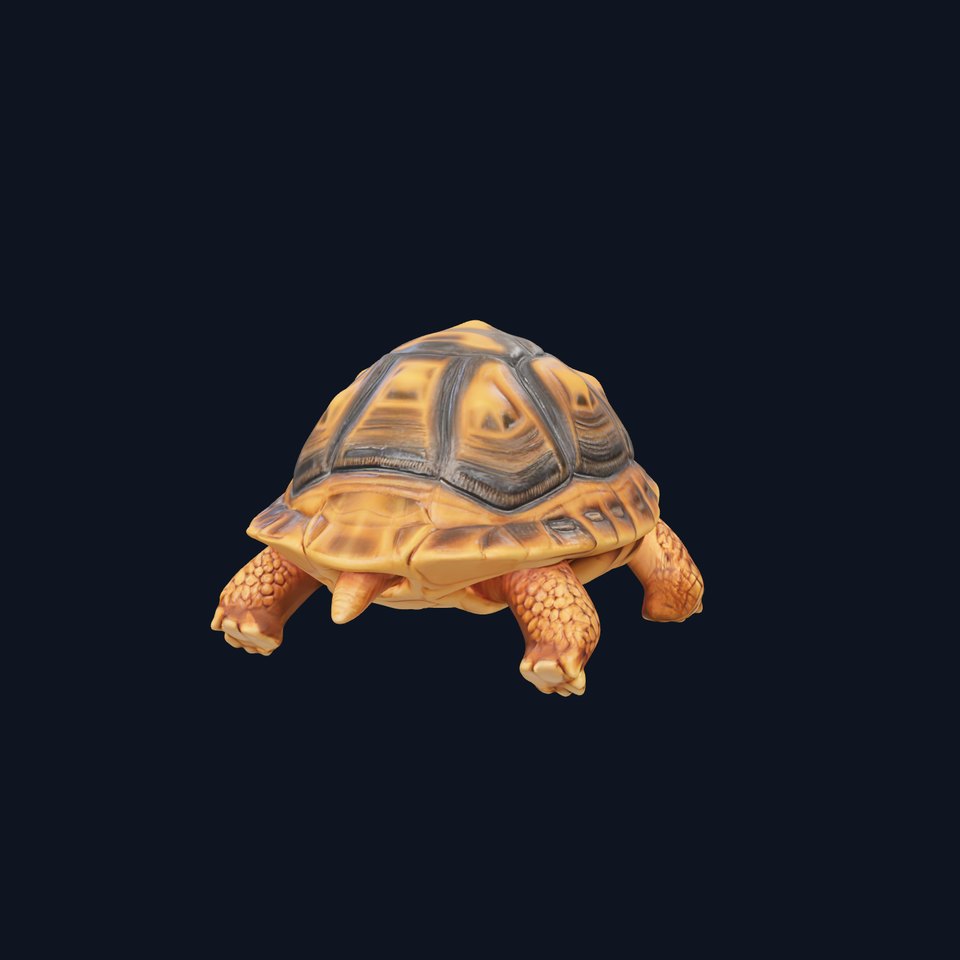 Realistic Tortoise D Model Pack with Detailed Textures