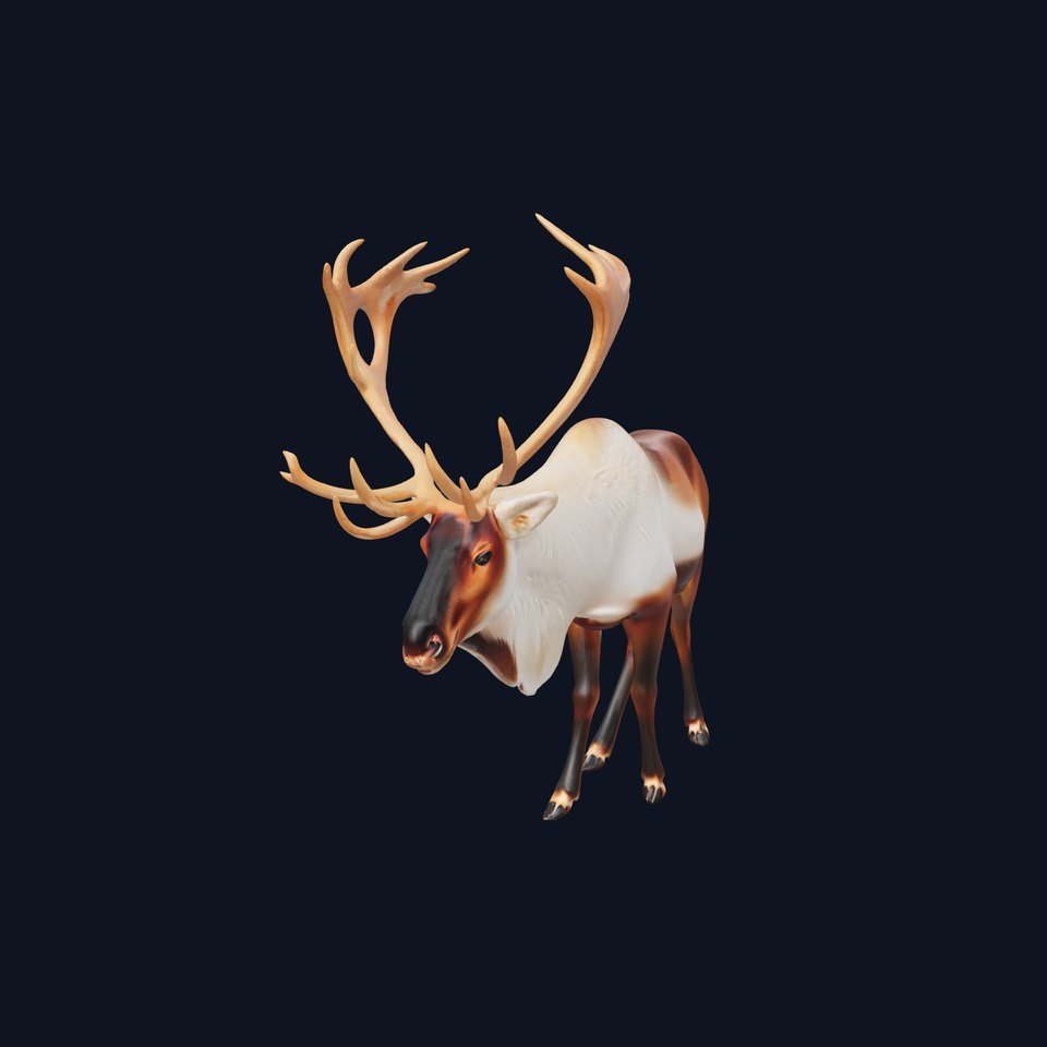 Detailed Reindeer Model Pack