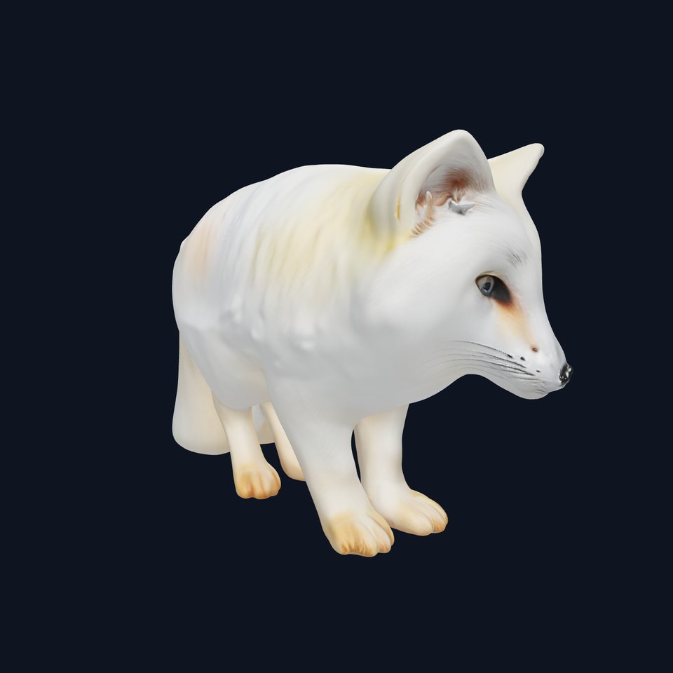Arctic Fox D Model Pack