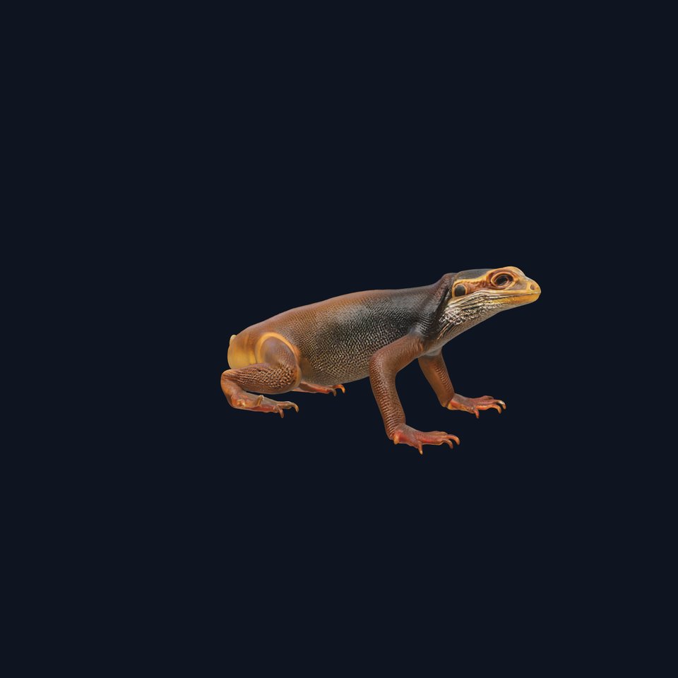 Realistic Lizard D Model Pack for Animation and Games