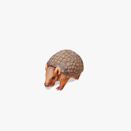 Armadillo