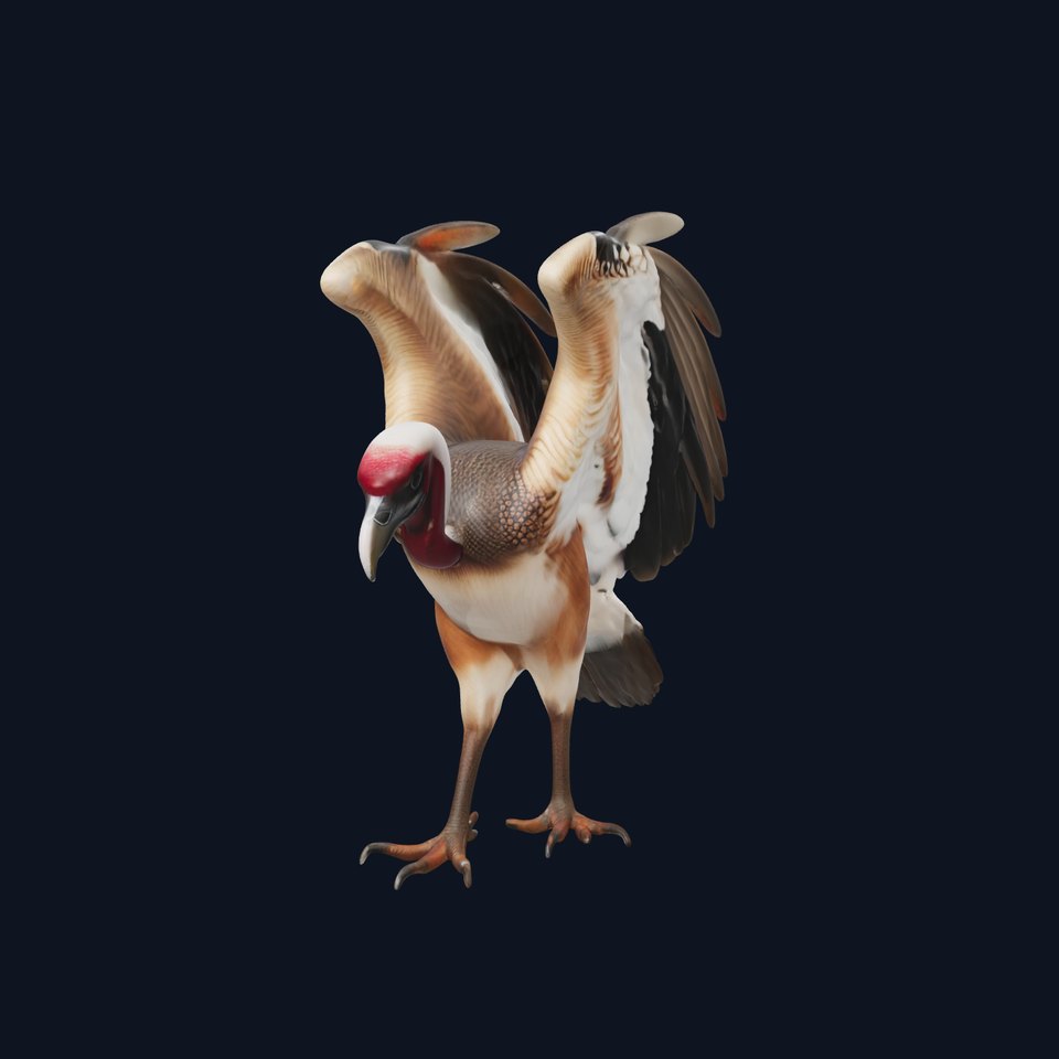 Detailed Vulture Bird D Model Pack for Simulation and Rendering