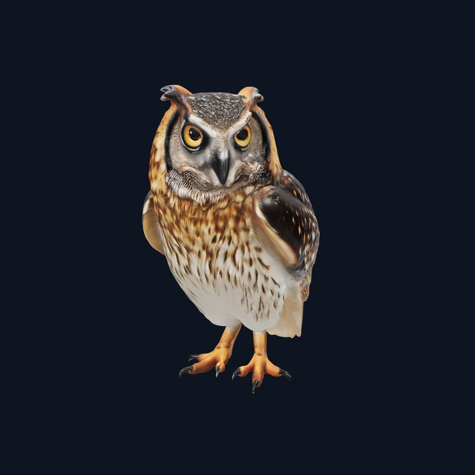 Owl Model Pack Detailed and Versatile