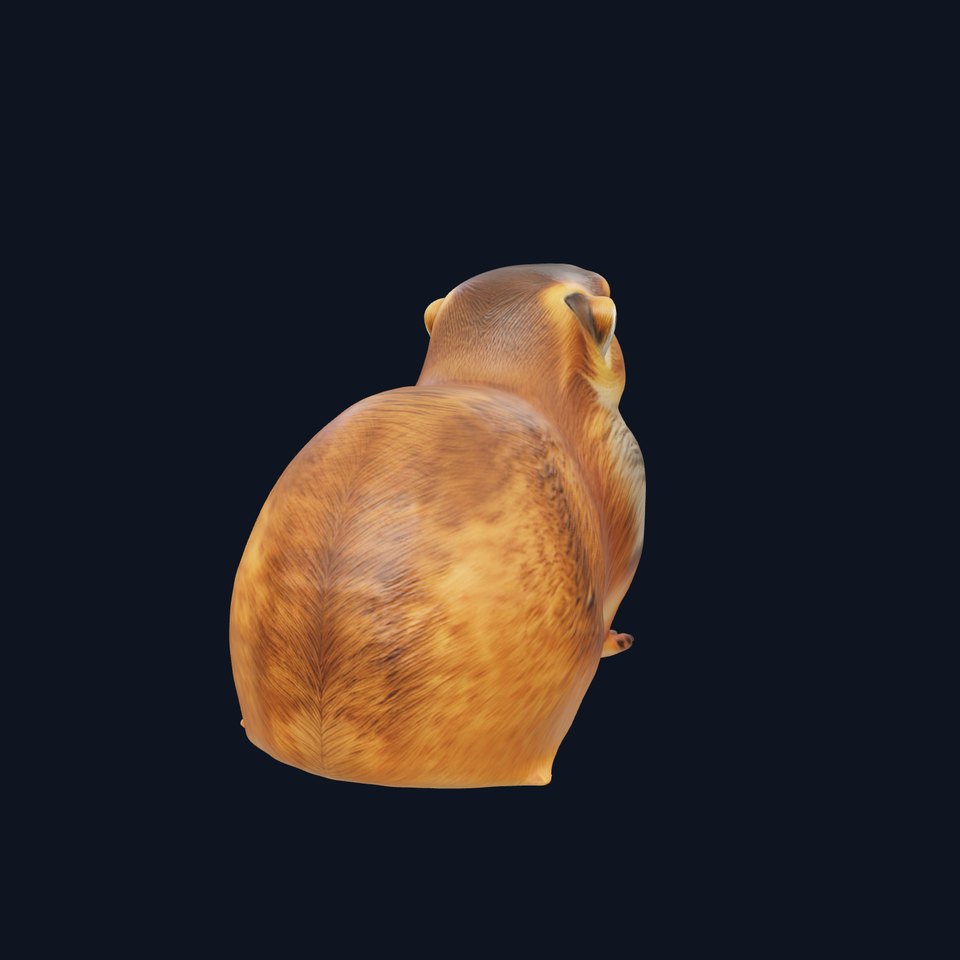 Prairie Dog D Model Pack