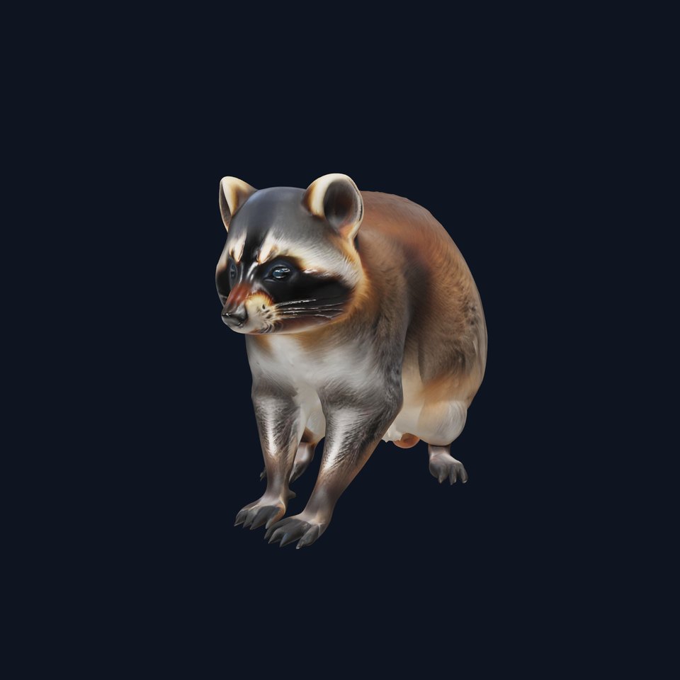 Realistic Raccoon Model Pack