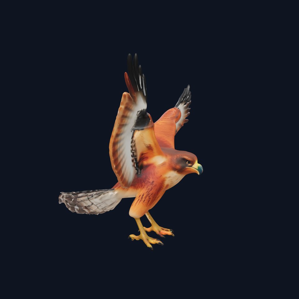 Eagle Model Pack  Realistic Bird D Model for Animation and Games