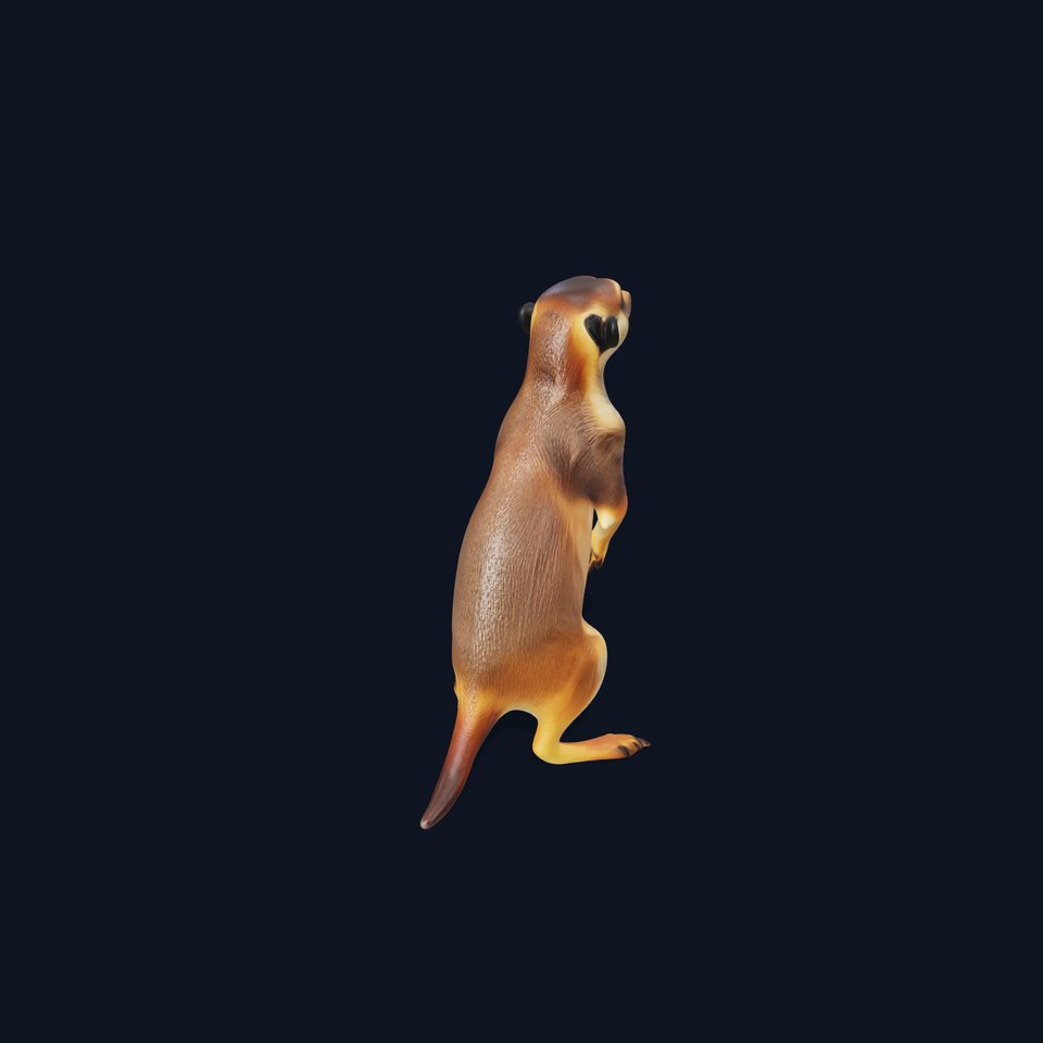 Meerkat Model Pack for CG Rendering and Animation