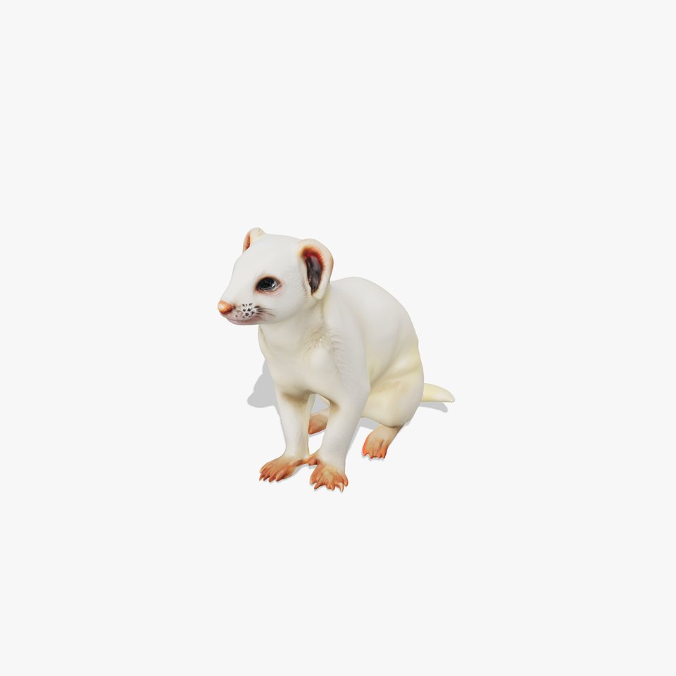 White Ferret D Model Pack