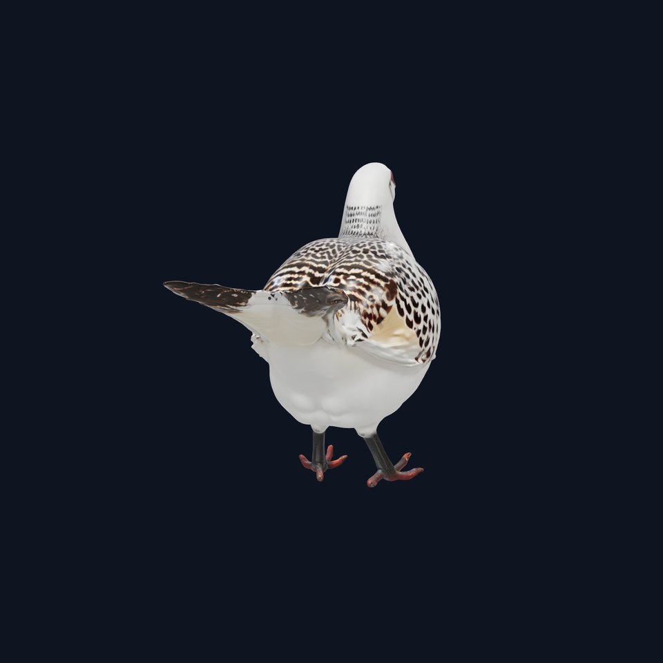 Elegant Pheasant D Model Pack for Interactive and Rendering Uses