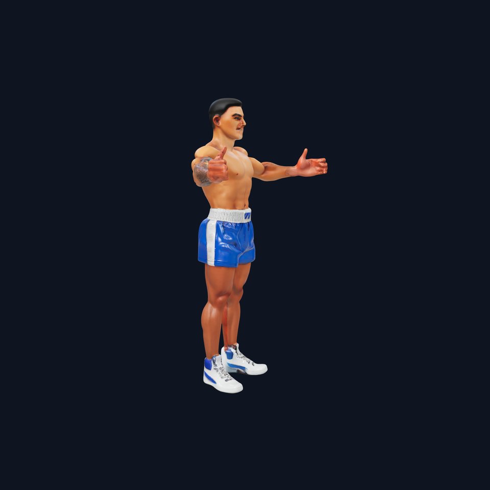 Boxer D Character Model Rigged and Animated
