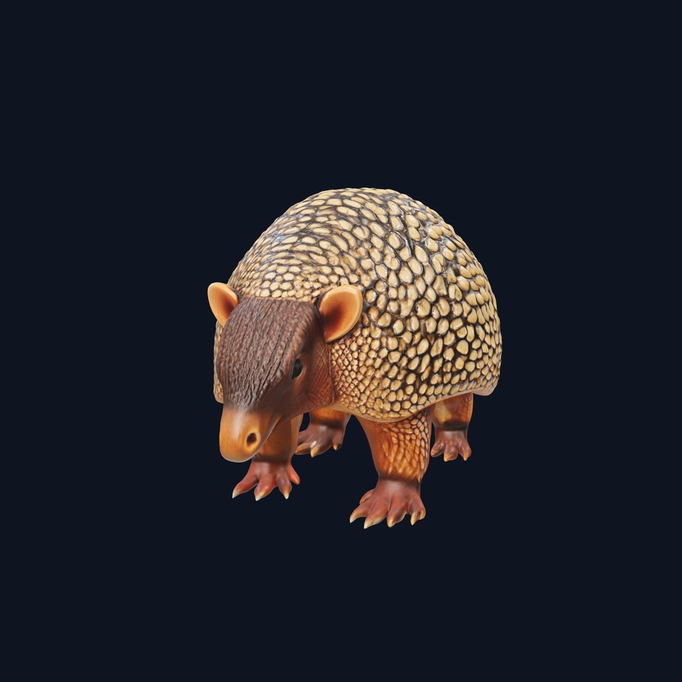 Armadillo D Model Pack with Textured Shell