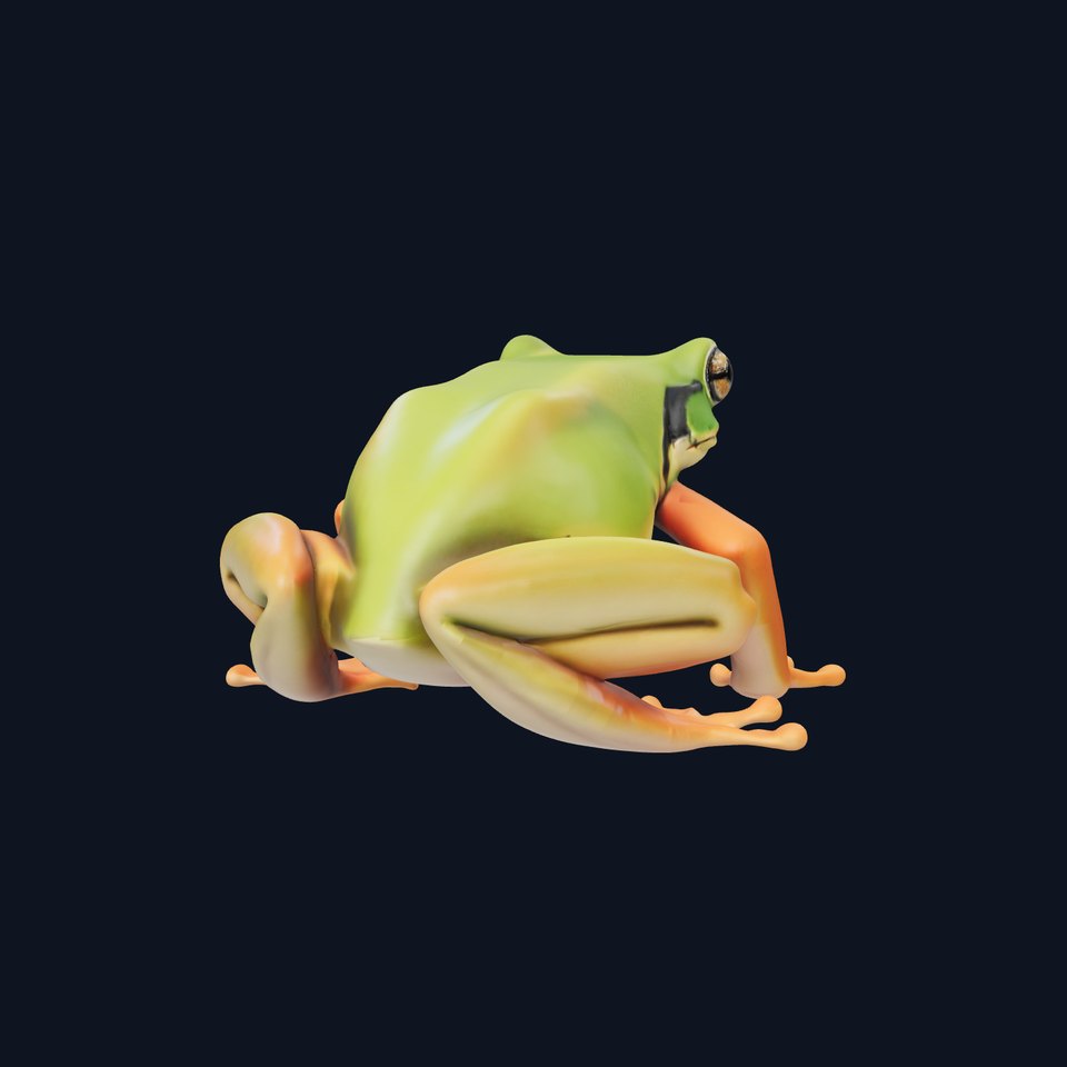 Colorful Frog Model Pack for D Rendering and Animations