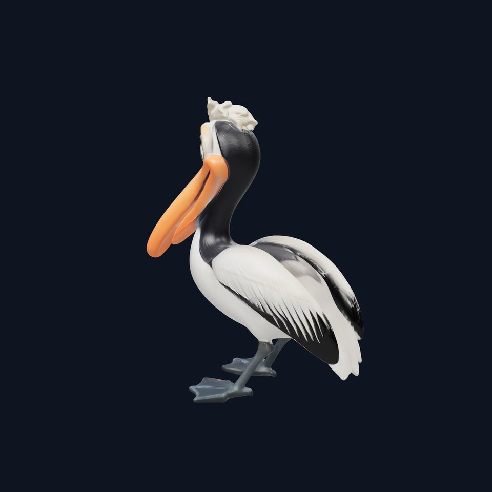 Cartoon Pelican Character D Model Pack