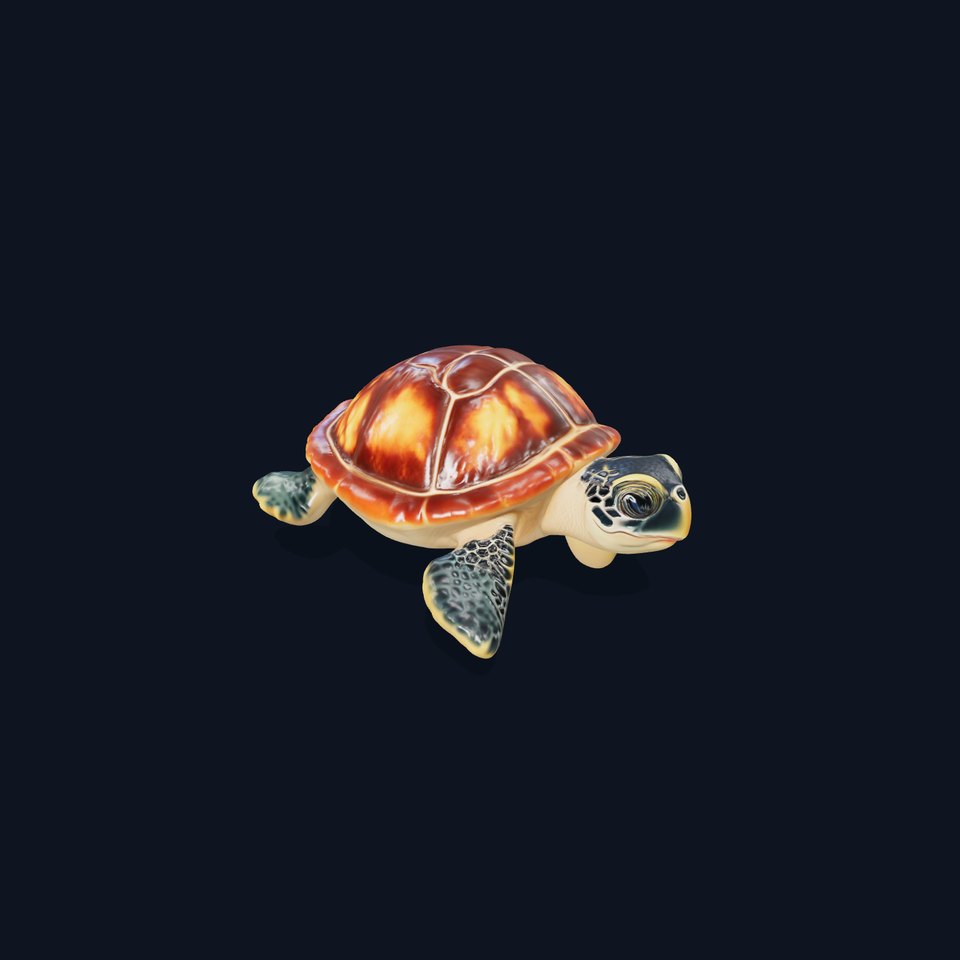 Realistic Sea Turtle Model Pack for Animation and Games