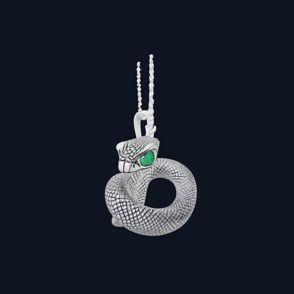 Snake Pendant with Chain Model Pack