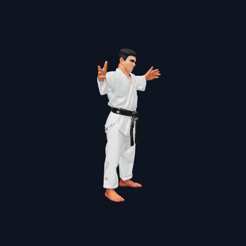 Martial Artist Character Rigged and Animated D Model
