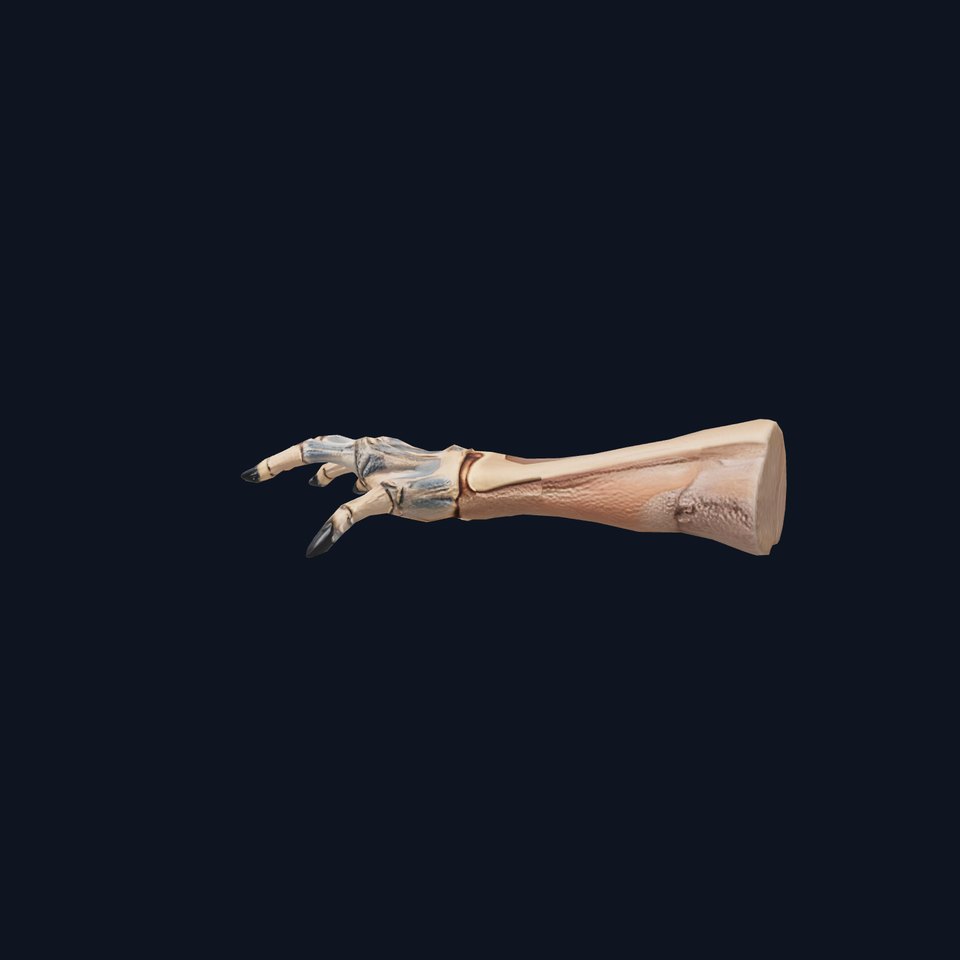 Skeletal Hand Claw Model Pack