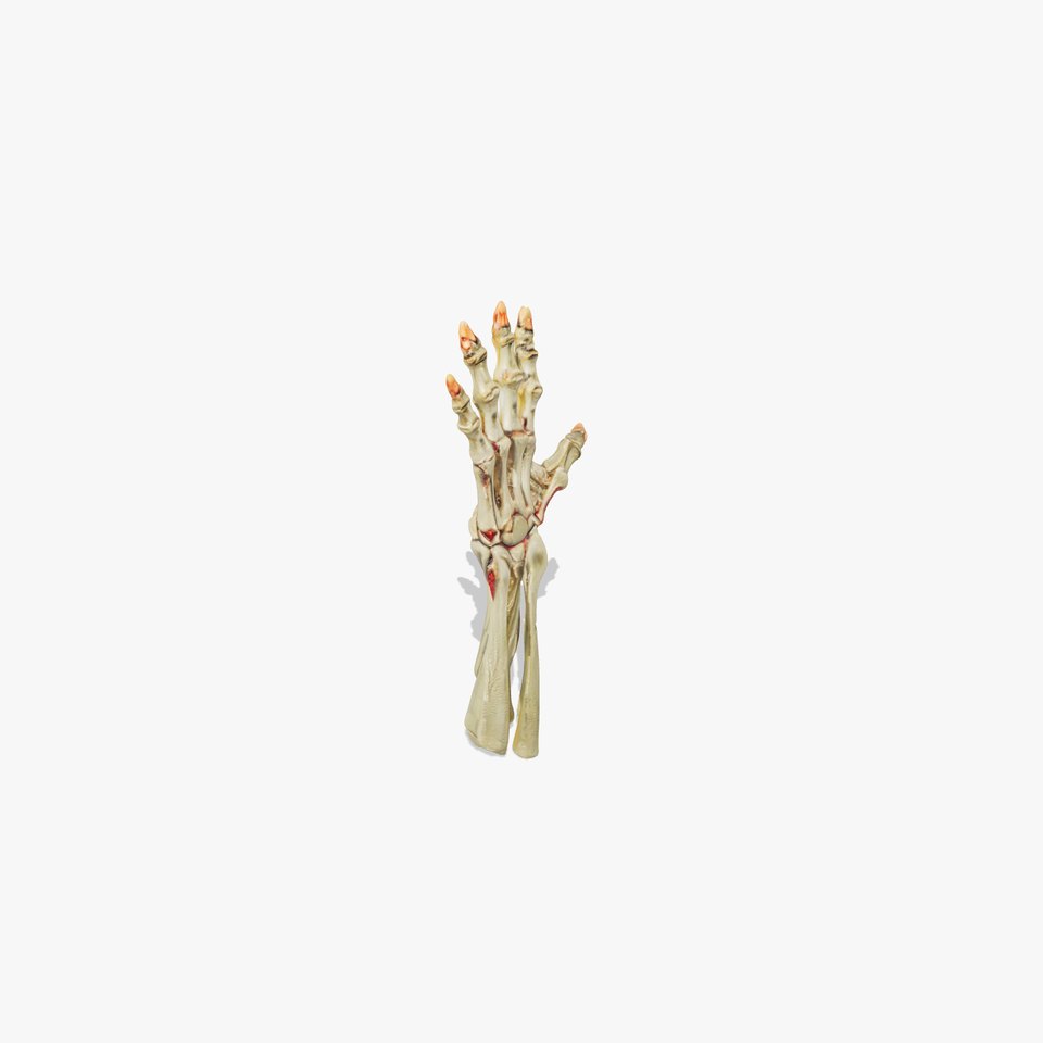 Skeletal Hand Model Pack for Fantasy and Horror Themes