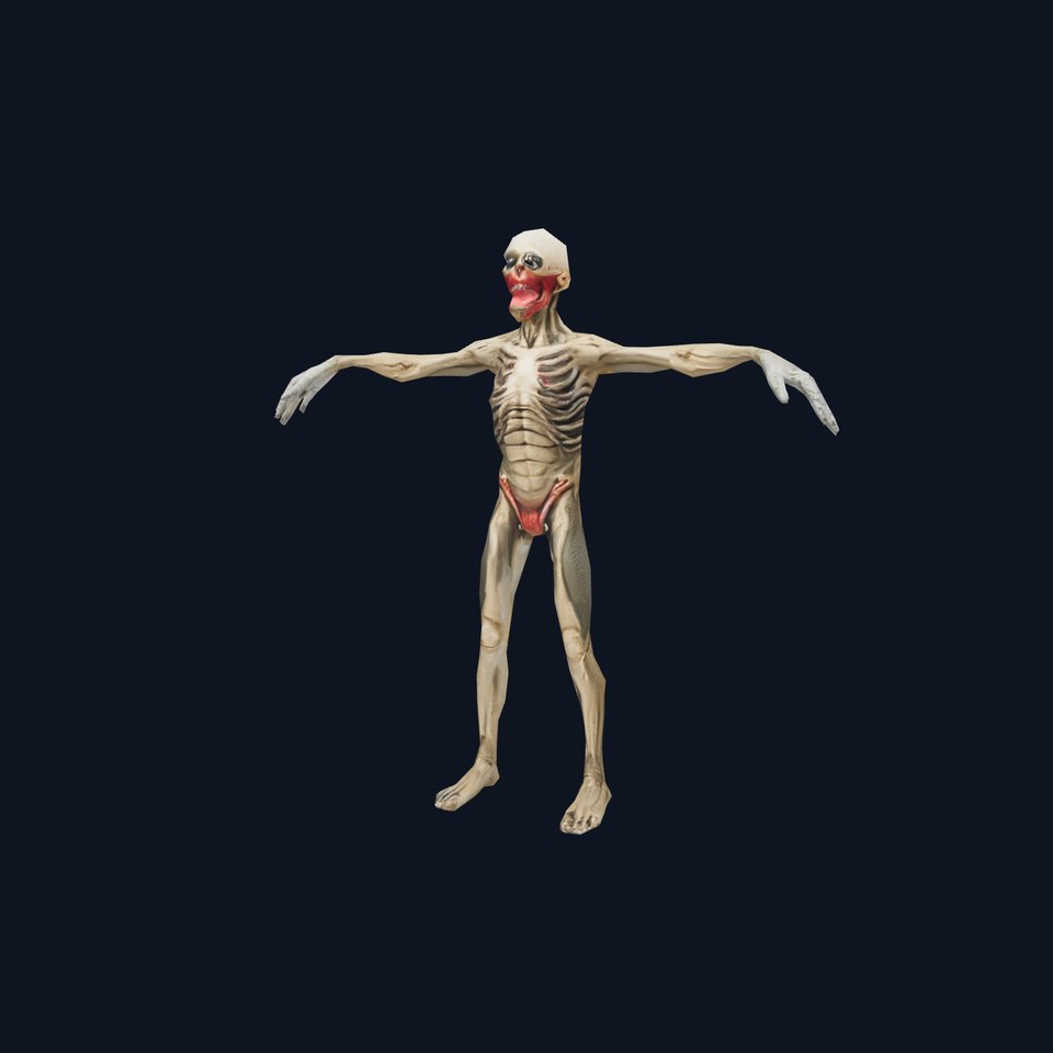 Skeleton Model Pack with Detailed Anatomy Features