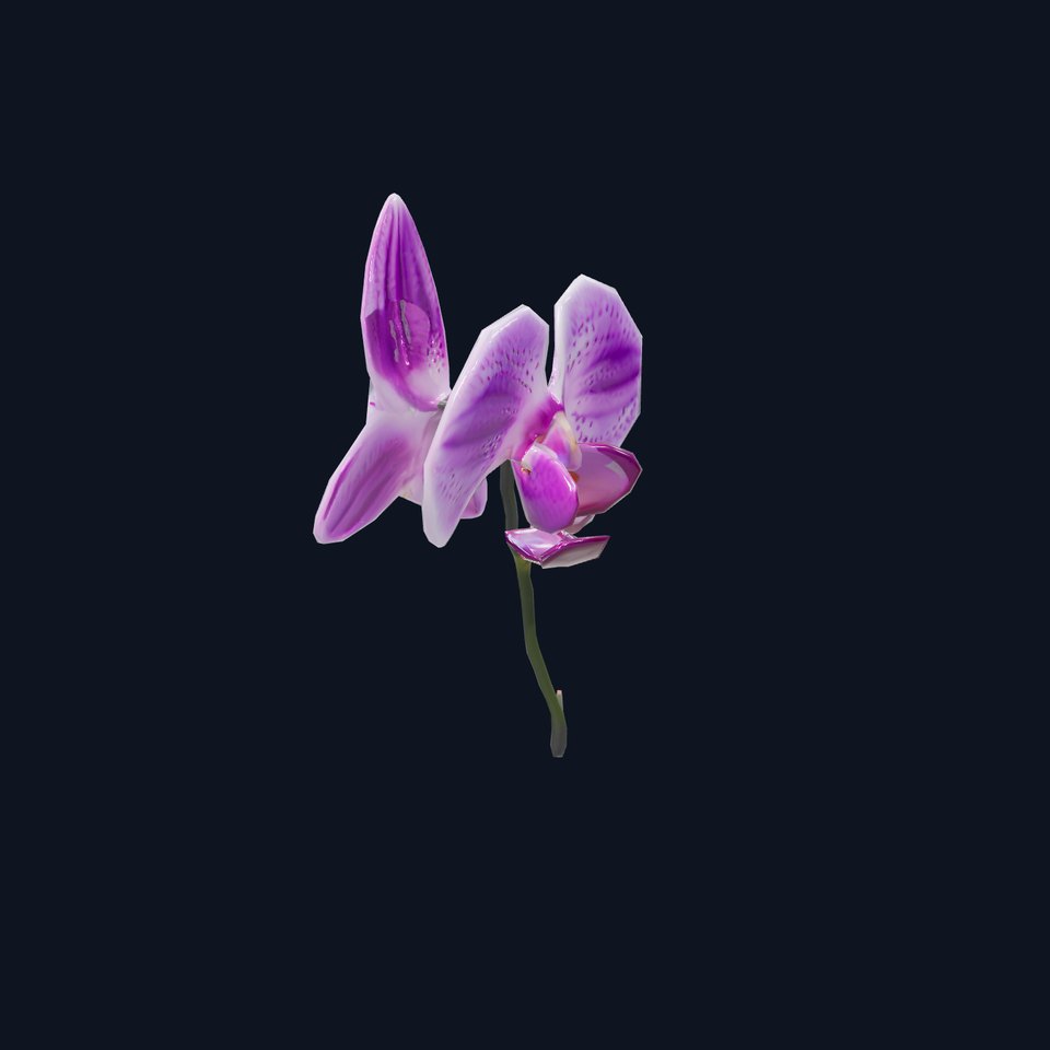 Vibrant Orchid model pack