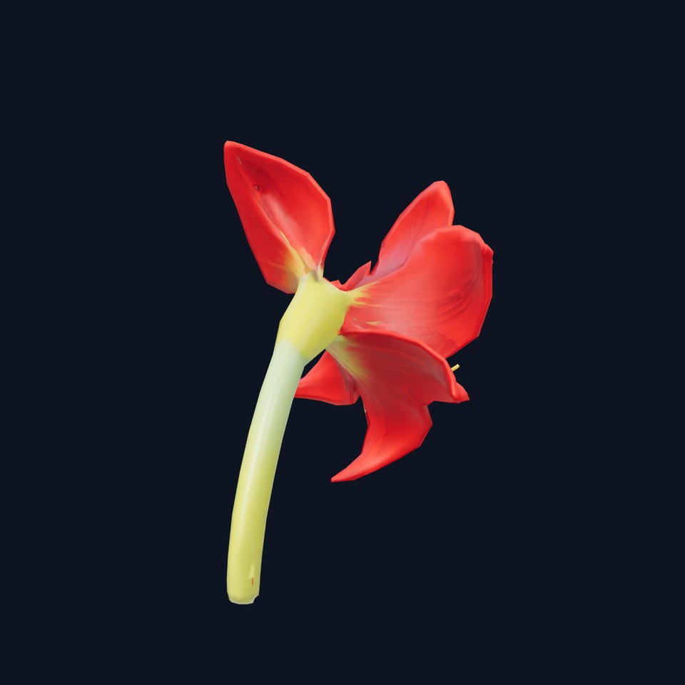 Red Amaryllis Flower model pack