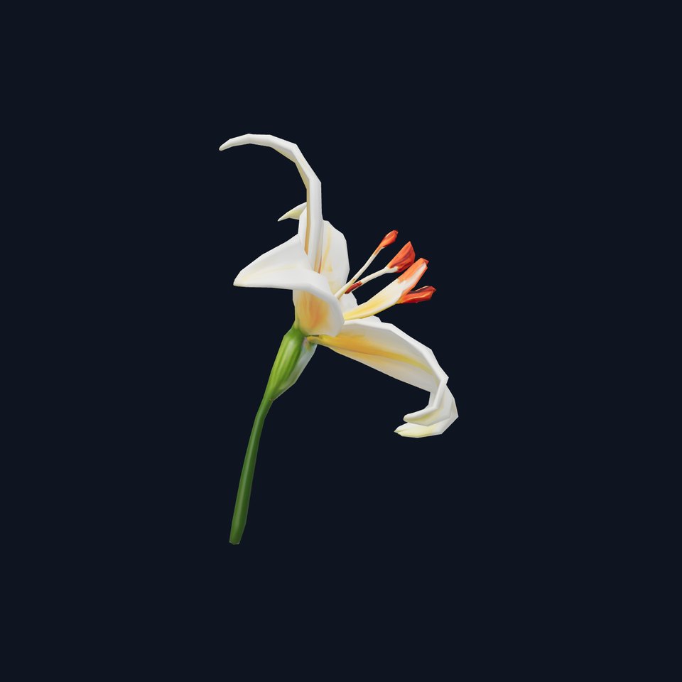 White Lily Bloom model pack