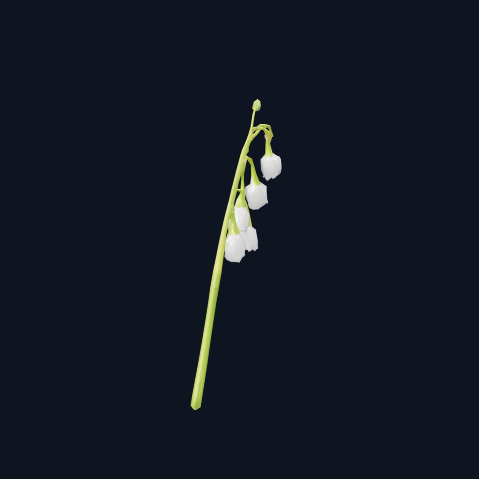 White Lily Flower model pack