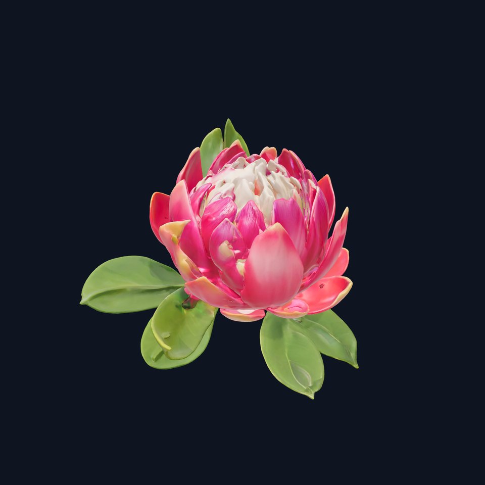 Vibrant Lotus Blossom model pack