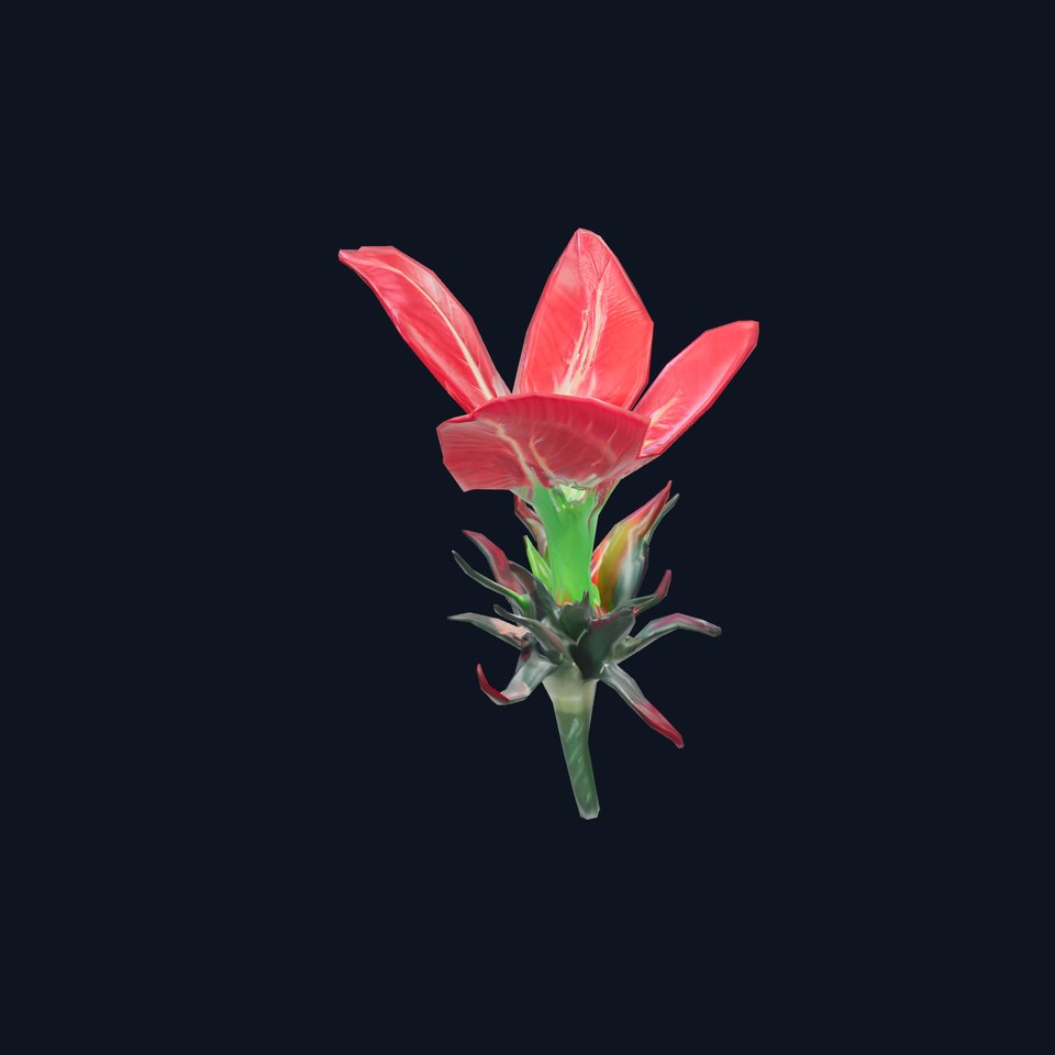 Crimson Tropical Flower model pack