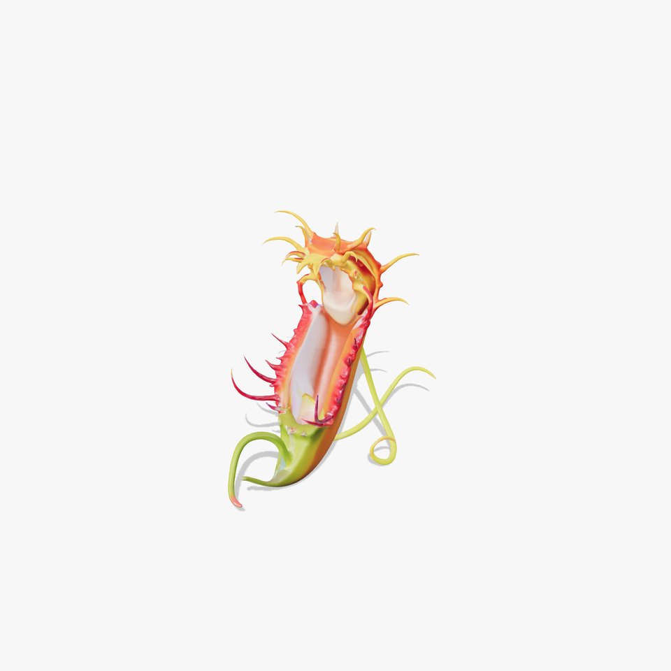 Vibrant Venus Flytrap model pack