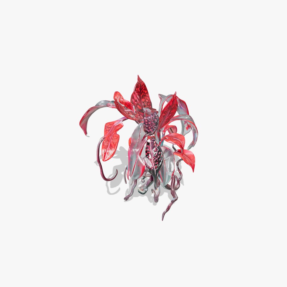 Crimson Foliage Plant model pack