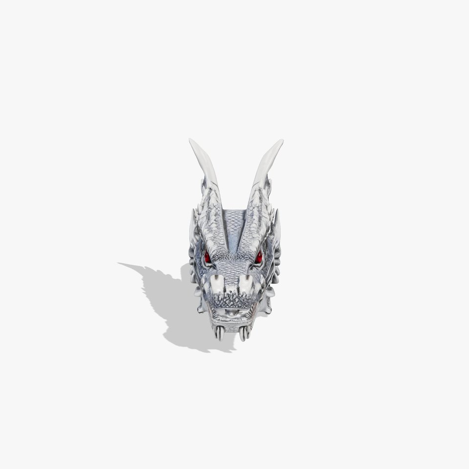 Silver Dragon Head model pack