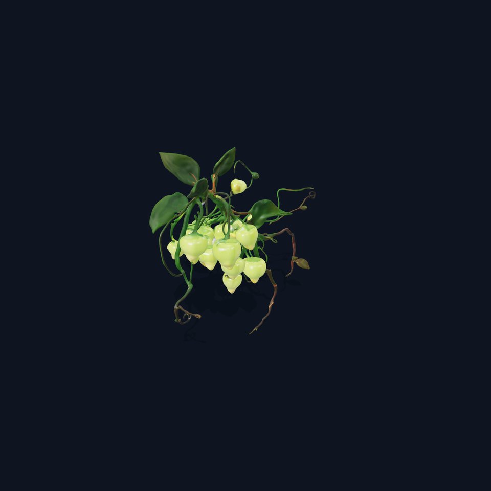 Glowing Vine Lantern model pack
