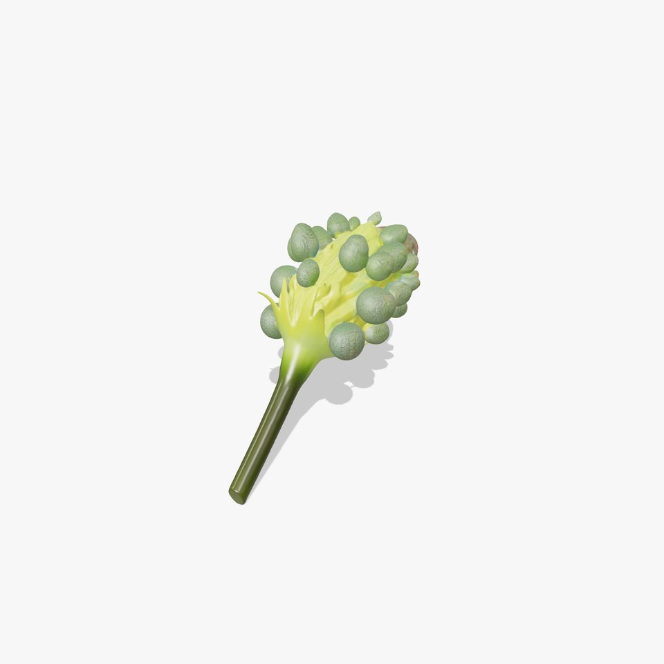Iridescent Floral Pod model pack