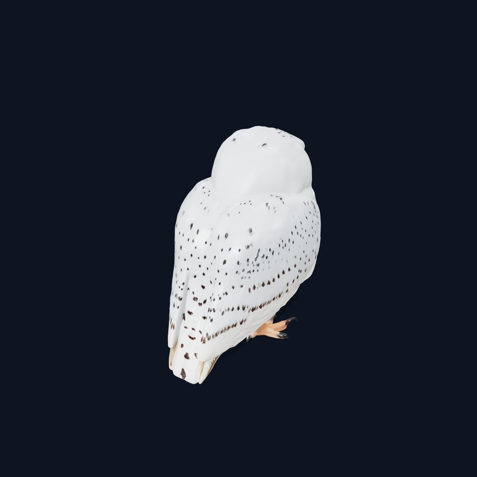 Majestic Snowy Owl model pack
