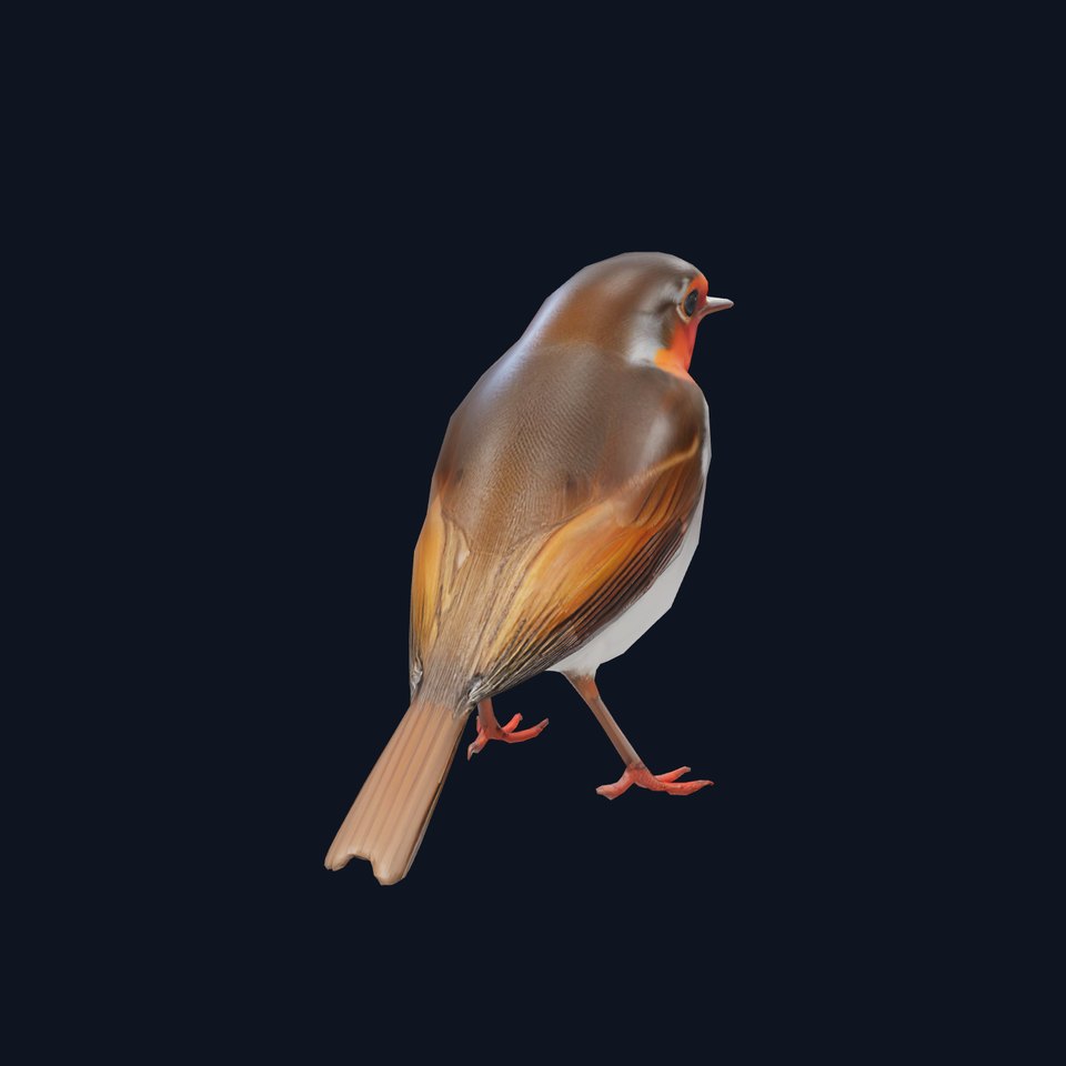 Vibrant Robin Bird model pack