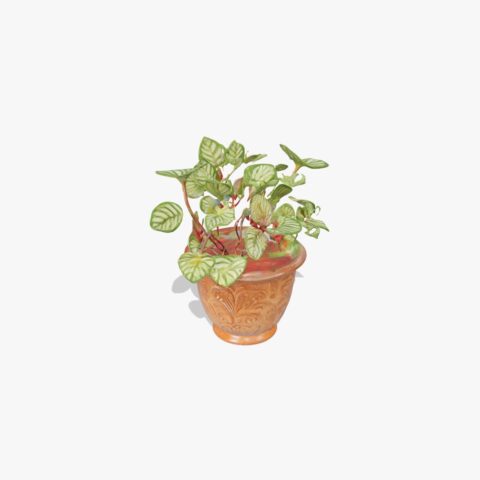 Ornate Copper Plant model pack