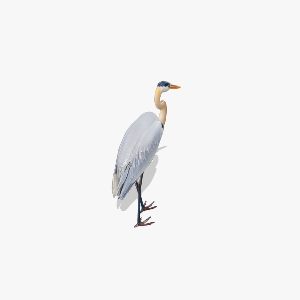 Elegant Heron model pack