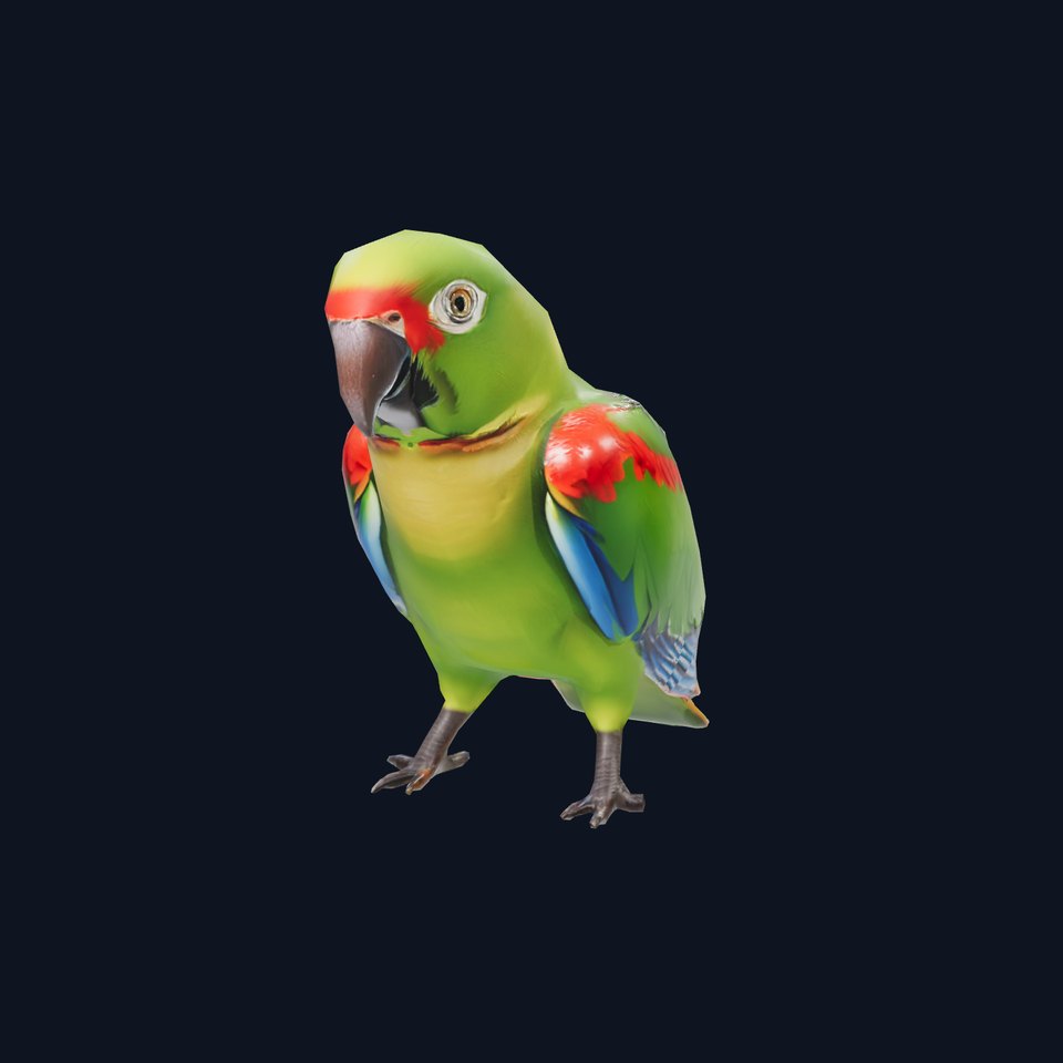 Vibrant Parrot Model Pack