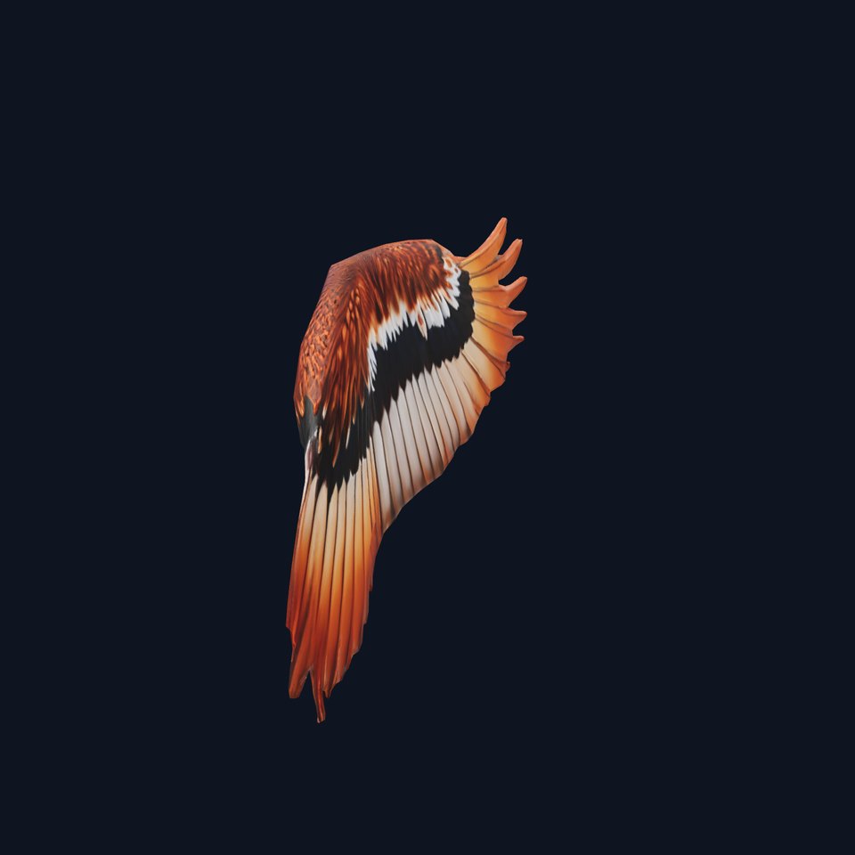 Majestic Brown Feathered Wing model pack