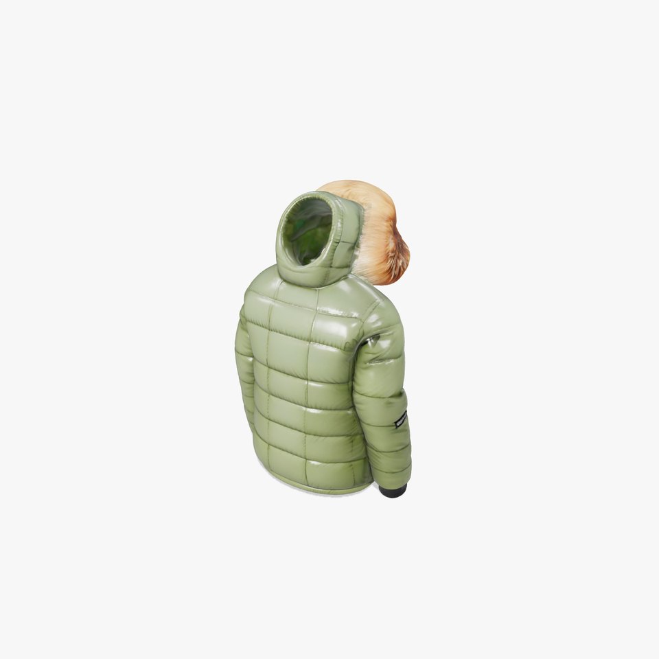 Green Winter Jacket model pack