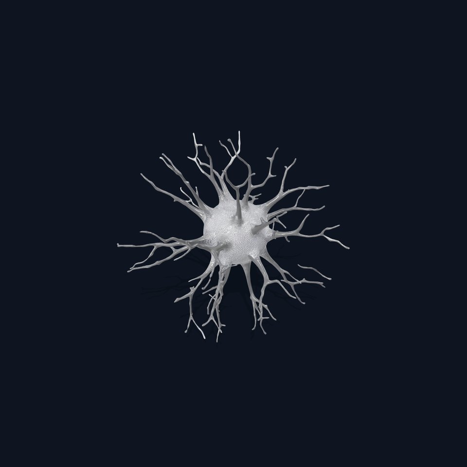 Neural Synapse Organic model pack