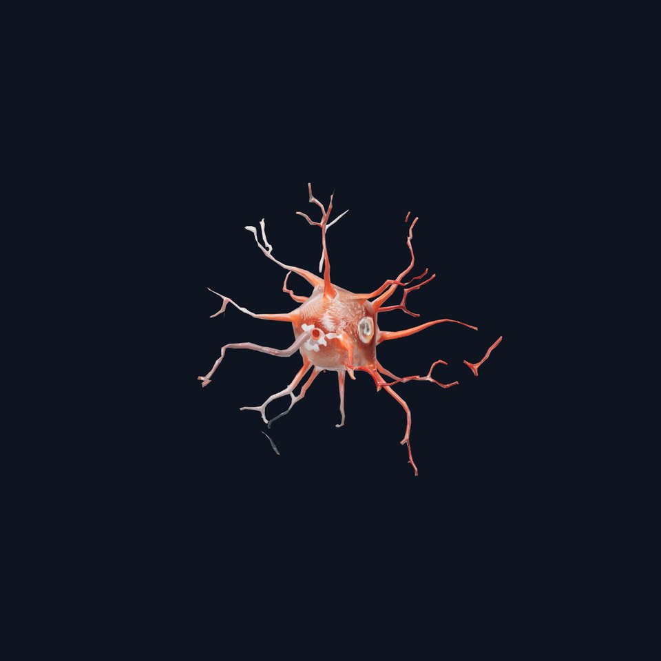 Realistic Neuron model pack