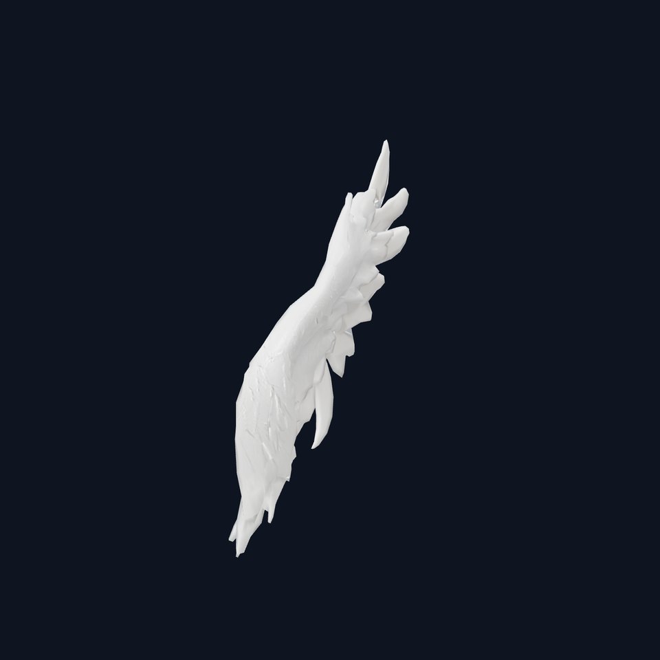 Elegant Feather Wing model pack