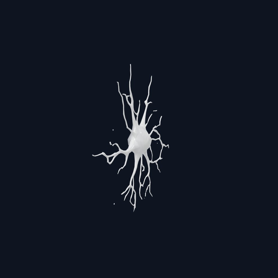 Intricate Neuron Structure model pack