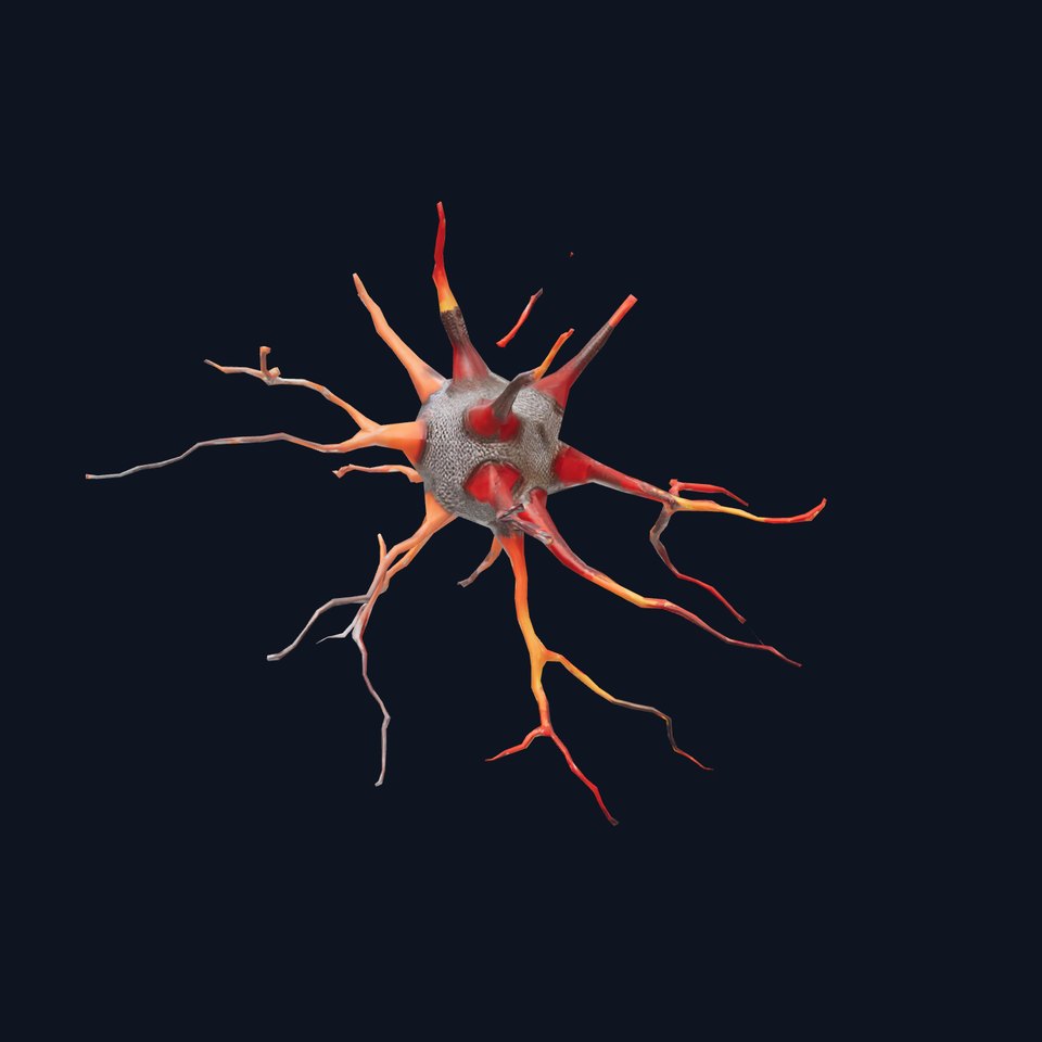 Dynamic Neuron Cell model pack