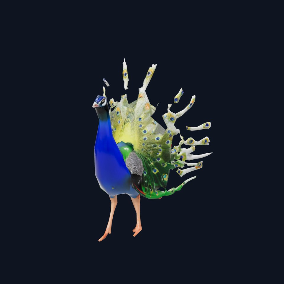 Vibrant Peacock model pack